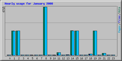 Hourly usage for January 2008