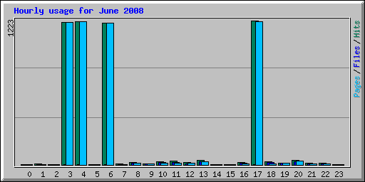 Hourly usage for June 2008